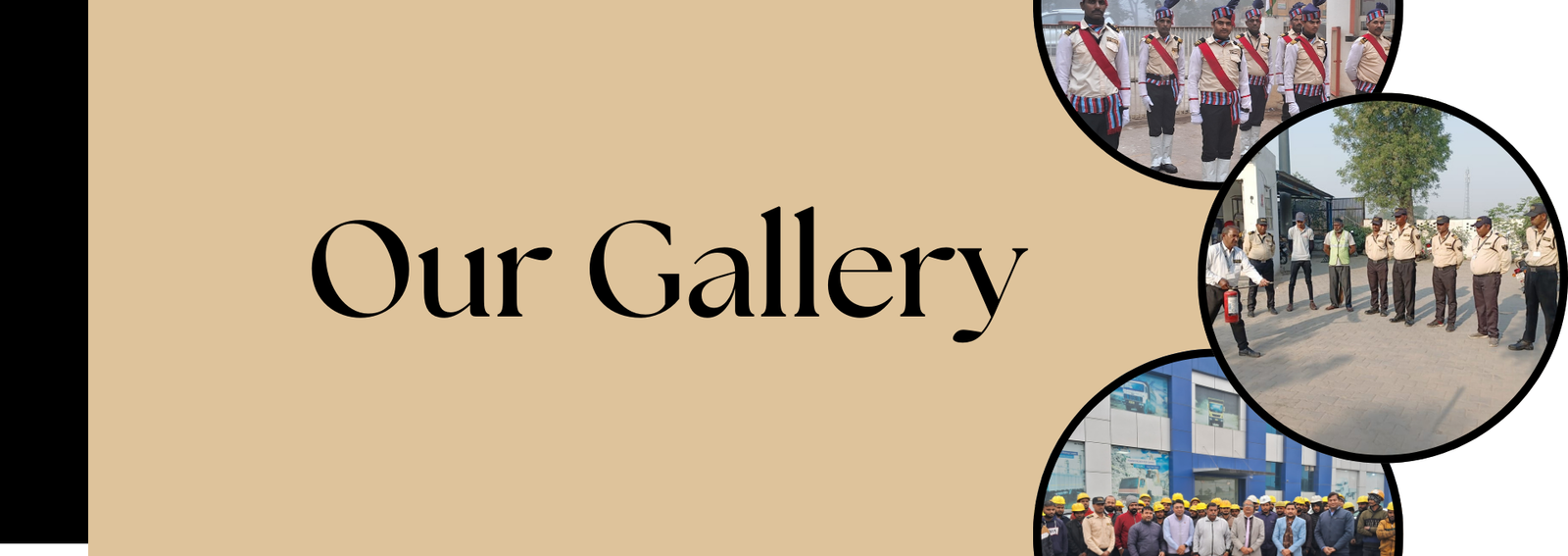 Our Gallery